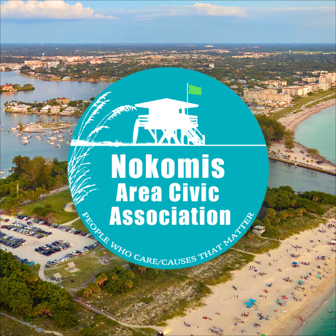 9 Teal NACA Logo Overlaid on Nokomis Beach Photo 9 Teal NACA Logo Overlaid on Nokomis Beach Photo